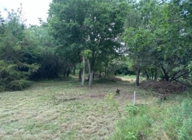 White Bluff is a beautiful community on white limestone cliffs on White Bluff Resort - New Course in Texas - for sale on GolfHomes.com, golf home, golf lot