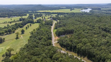 This stunning 5-bedroom, 3-bath brick home offers modern design on The Course At Eagle Mountain in Arkansas - for sale on GolfHomes.com, golf home, golf lot
