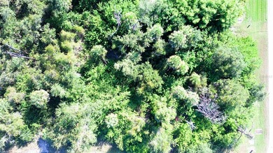 An excellent opportunity awaits with this spacious vacant lot in on Rotonda Golf and Country Club The Palms Course in Florida - for sale on GolfHomes.com, golf home, golf lot