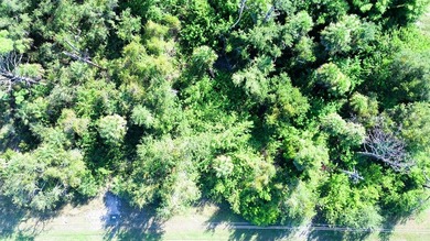 Here's your chance to own a spacious vacant lot in the peaceful on Rotonda Golf and Country Club The Palms Course in Florida - for sale on GolfHomes.com, golf home, golf lot