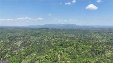 Charming FULLY FURNISHED Cabin on a level Private Wooded Lot! on White Path Golf Club in Georgia - for sale on GolfHomes.com, golf home, golf lot