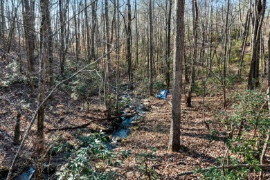 If you are looking for a private lot within the gated mountain on Sequatchie Valley Golf and Country Club in Tennessee - for sale on GolfHomes.com, golf home, golf lot
