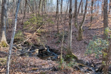 If you are looking for a private lot within the gated mountain on Sequatchie Valley Golf and Country Club in Tennessee - for sale on GolfHomes.com, golf home, golf lot