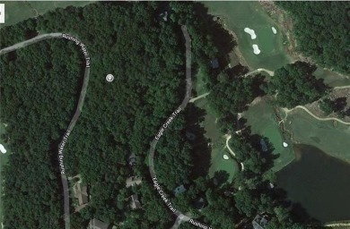 Build your dream getaway on this prime McLemore homesite with on McLemore Golf Club in Georgia - for sale on GolfHomes.com, golf home, golf lot