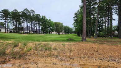 **LAST Available Golf Course Lots** In one of Conway's premier on Centennial Valley Golf Course in Arkansas - for sale on GolfHomes.com, golf home, golf lot