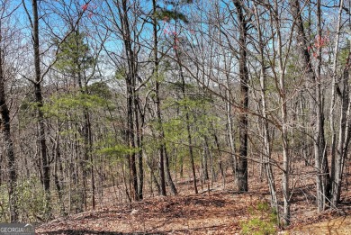 SERIOUS MOUNTAIN VIEWS!!! Loaded with Mountain Laurel and on The Orchard Golf and Country Club in Georgia - for sale on GolfHomes.com, golf home, golf lot