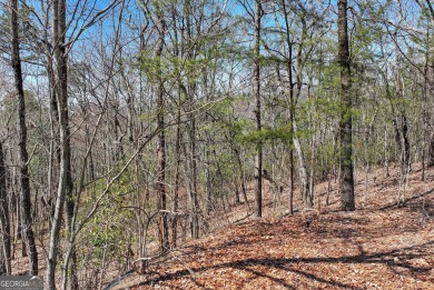 SERIOUS MOUNTAIN VIEWS!!! Loaded with Mountain Laurel and on The Orchard Golf and Country Club in Georgia - for sale on GolfHomes.com, golf home, golf lot