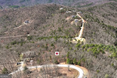 SERIOUS MOUNTAIN VIEWS!!! Loaded with Mountain Laurel and on The Orchard Golf and Country Club in Georgia - for sale on GolfHomes.com, golf home, golf lot