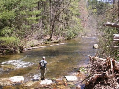 River & Golf Course Views! Enjoy spectacular views from nearly on Burlingame Country Club in North Carolina - for sale on GolfHomes.com, golf home, golf lot