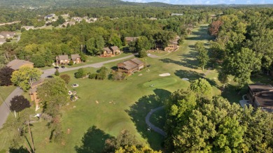 Welcome to easy living at Woodson Bend Resort! This inviting on Woodson Bend Resort in Kentucky - for sale on GolfHomes.com, golf home, golf lot