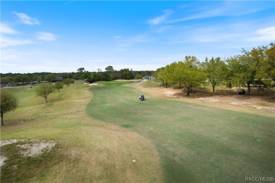 $10,000 SELLER CONCESSIONS TOWARDS NEW ROOF!

Situated at the on Twisted Oaks Golf Club in Florida - for sale on GolfHomes.com, golf home, golf lot