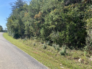 Great wooded level building lot located in Lake Forest Reserves on Woodson Bend Resort in Kentucky - for sale on GolfHomes.com, golf home, golf lot