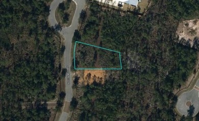 This lot is cleared and ready to build your coastal getaway in on Saint Josephs Bay Country Club in Florida - for sale on GolfHomes.com, golf home, golf lot