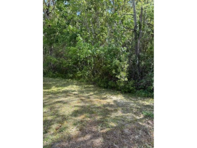 Looking for the perfect, move-in-ready retreat in a thriving 55+ on Hamptons Golf Club in Florida - for sale on GolfHomes.com, golf home, golf lot