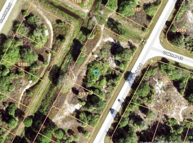 NO FLOOD ZONE AREA. NICE BUILDABLE LOT CLOSE TO GOLF COURSES on Duffys Golf Center in Florida - for sale on GolfHomes.com, golf home, golf lot