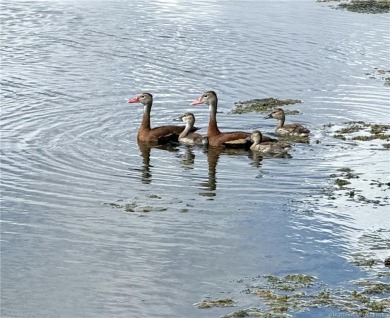 MOTIVATED SELLER!! Turn-key 1BR/1.5BA in Vista Royale, Vero's on The American Golf Club in Florida - for sale on GolfHomes.com, golf home, golf lot