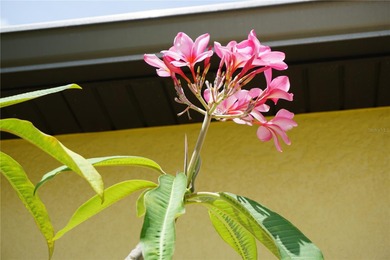 WOW--AN INCREDIBLE VALUE FOR THIS BEAUTIFUL, NEWER CUSTOM BUILT on Burnt Store Golf Club in Florida - for sale on GolfHomes.com, golf home, golf lot