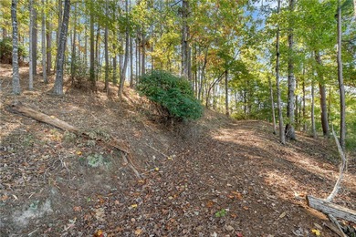 This is a rare double-lot opportunity, combining two premier on The Cliffs At Keowee Springs in South Carolina - for sale on GolfHomes.com, golf home, golf lot