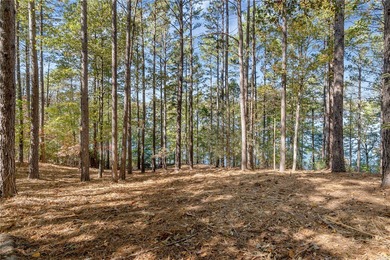 This is a rare double-lot opportunity, combining two premier on The Cliffs At Keowee Springs in South Carolina - for sale on GolfHomes.com, golf home, golf lot