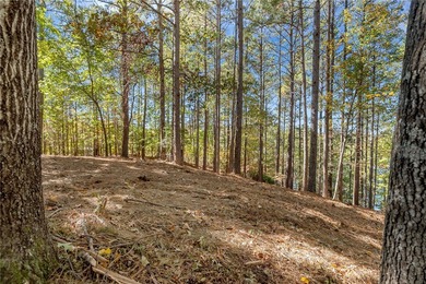 This is a rare double-lot opportunity, combining two premier on The Cliffs At Keowee Springs in South Carolina - for sale on GolfHomes.com, golf home, golf lot