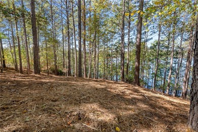 This is a rare double-lot opportunity, combining two premier on The Cliffs At Keowee Springs in South Carolina - for sale on GolfHomes.com, golf home, golf lot