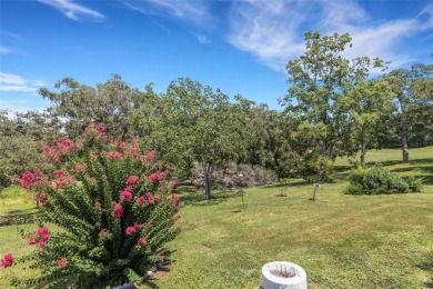 Enjoy Peaceful PRESERVE Views while watching the wildlife from on Highland Lakes Executive Golf Course in Florida - for sale on GolfHomes.com, golf home, golf lot