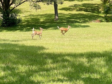 Enjoy Peaceful PRESERVE Views while watching the wildlife from on Highland Lakes Executive Golf Course in Florida - for sale on GolfHomes.com, golf home, golf lot