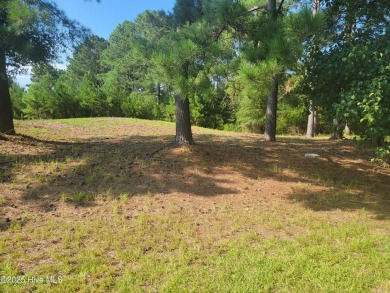 High and dry .39/acre home site in the up and coming Haddington on Sea Trail Golf Resort in North Carolina - for sale on GolfHomes.com, golf home, golf lot