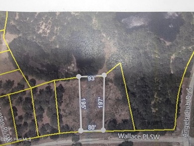 High and dry .39/acre home site in the up and coming Haddington on Sea Trail Golf Resort in North Carolina - for sale on GolfHomes.com, golf home, golf lot