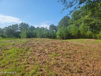 High and dry .39/acre home site in the up and coming Haddington on Sea Trail Golf Resort in North Carolina - for sale on GolfHomes.com, golf home, golf lot