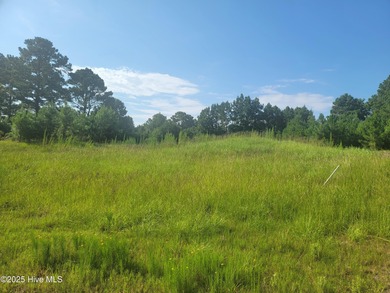 High and dry .39/acre home site in the up and coming Haddington on Sea Trail Golf Resort in North Carolina - for sale on GolfHomes.com, golf home, golf lot