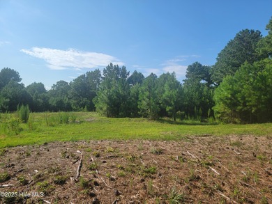 High and dry .39/acre home site in the up and coming Haddington on Sea Trail Golf Resort in North Carolina - for sale on GolfHomes.com, golf home, golf lot