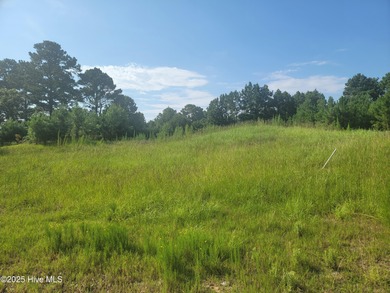High and dry .39/acre home site in the up and coming Haddington on Sea Trail Golf Resort in North Carolina - for sale on GolfHomes.com, golf home, golf lot