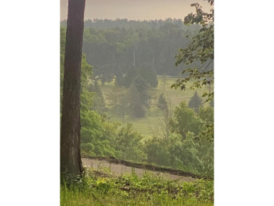 Perfectly positioned just minutes from downtown Egg Harbor, this on Alpine Resort and Golf Course in Wisconsin - for sale on GolfHomes.com, golf home, golf lot