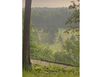 Perfectly positioned just minutes from downtown Egg Harbor, this on Alpine Resort and Golf Course in Wisconsin - for sale on GolfHomes.com, golf home, golf lot