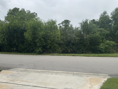 This home gives you privacy and neighbors at the same time. This on St. James Golf Club in Florida - for sale on GolfHomes.com, golf home, golf lot