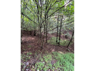 Beautiful wooded lot with seasonal mountain view located in the on Chatuge Shores Golf Course in North Carolina - for sale on GolfHomes.com, golf home, golf lot