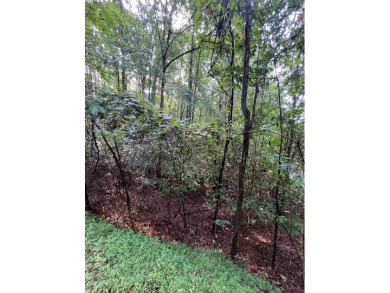 Beautiful wooded lot with seasonal mountain view located in the on Chatuge Shores Golf Course in North Carolina - for sale on GolfHomes.com, golf home, golf lot