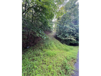 Beautiful wooded lot with seasonal mountain view located in the on Chatuge Shores Golf Course in North Carolina - for sale on GolfHomes.com, golf home, golf lot