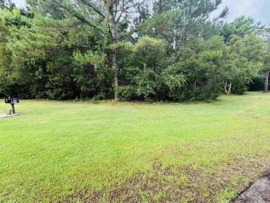 Rare Opportunity in True Blue - Single-Level Living! Don't miss on True Blue Plantation in South Carolina - for sale on GolfHomes.com, golf home, golf lot