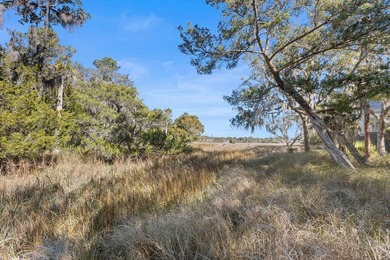 High-Capacity Coastal Investment Opportunity in Seabrook IslandA on The Seabrook Island Club in South Carolina - for sale on GolfHomes.com, golf home, golf lot
