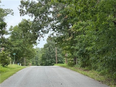 Imagine stepping out your front door and being just steps from on Bella Vista Country Club - Berksdale in Arkansas - for sale on GolfHomes.com, golf home, golf lot