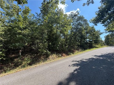 Imagine stepping out your front door and being just steps from on Bella Vista Country Club - Berksdale in Arkansas - for sale on GolfHomes.com, golf home, golf lot