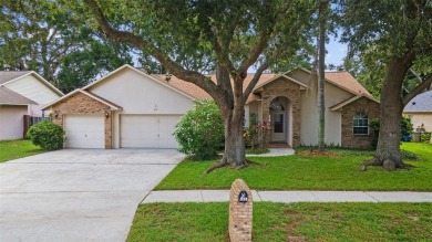 A blank canvas with endless possibilities! Nestled on a tree on Buckhorn Springs Golf and Country Club in Florida - for sale on GolfHomes.com, golf home, golf lot