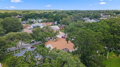 A blank canvas with endless possibilities! Nestled on a tree on Buckhorn Springs Golf and Country Club in Florida - for sale on GolfHomes.com, golf home, golf lot