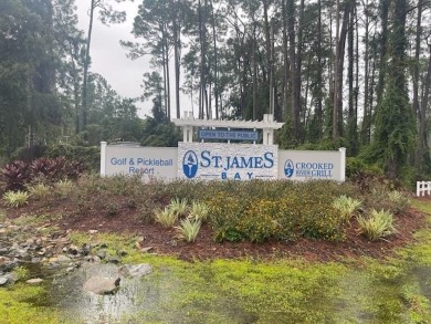 Come experience life in St. James Bay Golf Resort!  Build your on St. James Bay in Florida - for sale on GolfHomes.com, golf home, golf lot