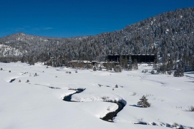 It's all about the views!  This studio unit (two queen beds) is on Resort At Squaw Creek in California - for sale on GolfHomes.com, golf home, golf lot