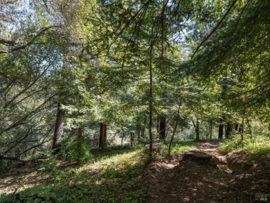This is an amazing opportunity to build your dream home. The on Mill Valley Golf Course in California - for sale on GolfHomes.com, golf home, golf lot