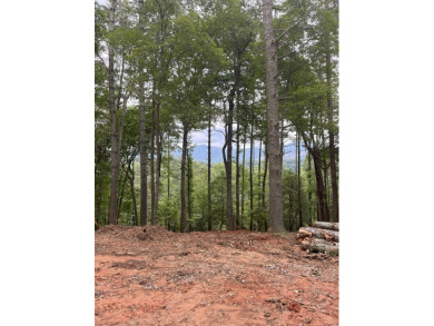Nestled in the serene beauty of the North Georgia mountains on White Path Golf Club in Georgia - for sale on GolfHomes.com, golf home, golf lot