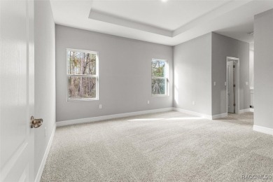 Absolutely stunning Brand-New construction 4-Bedroom 3-Bathroom on Sugarmill Woods Golf and Country Club in Florida - for sale on GolfHomes.com, golf home, golf lot